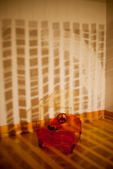 gallery/nelson_fleeting wisps_detail_sp22